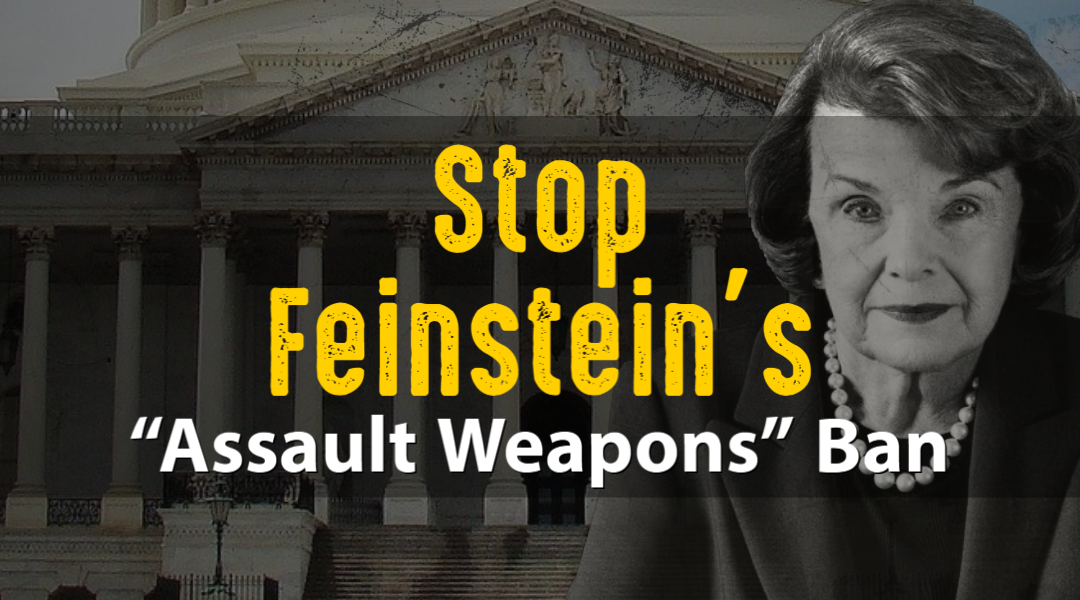 Defeat Feinstein’s AR15 Ban!