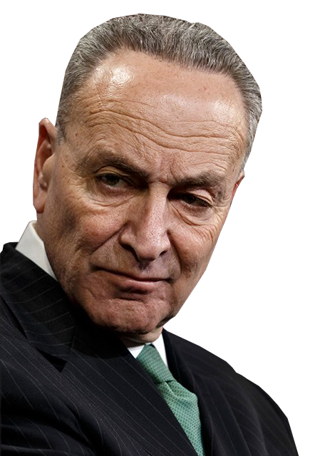 Take Action: Schumer Moving Fast on Red Flag Gun Confiscation!
