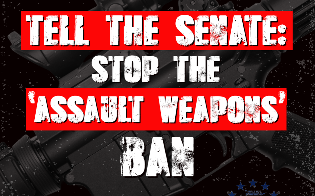 Assault Weapon Ban’ is Their Top Priority!