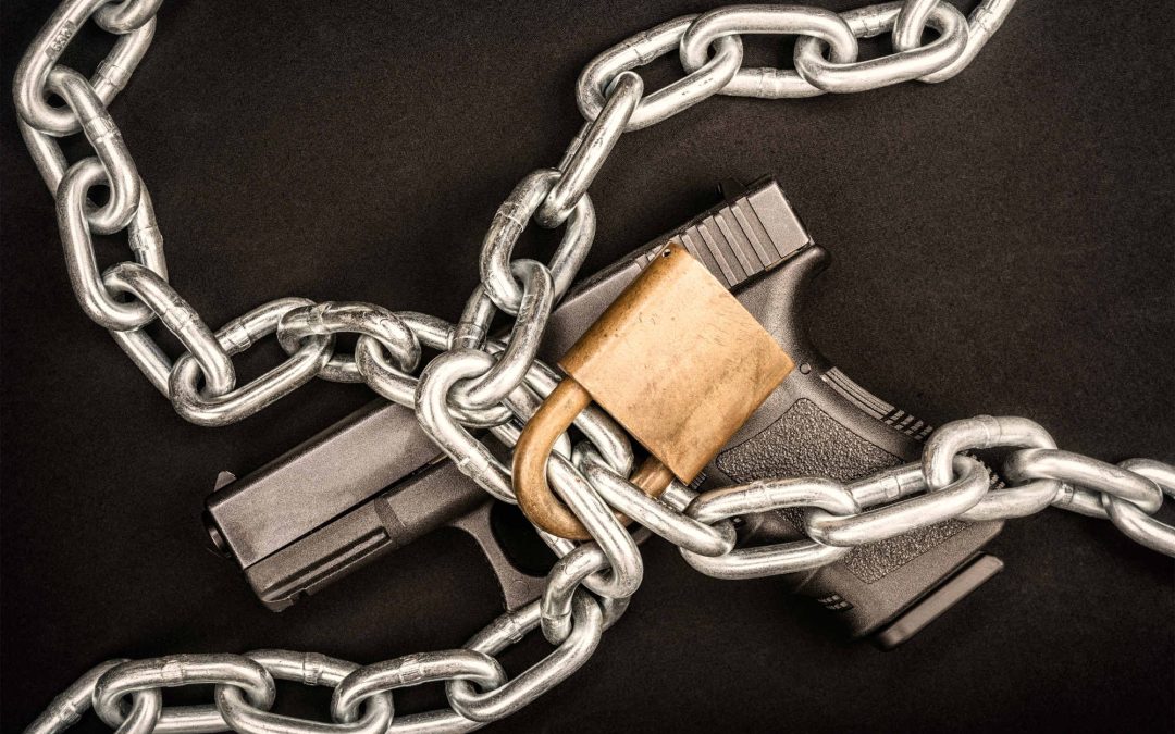 STOP the Homemade Gun Ban!