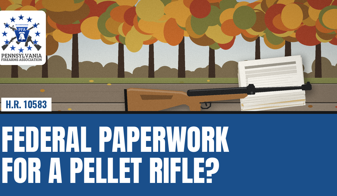 Federal Paperwork for a Pellet Rifle?