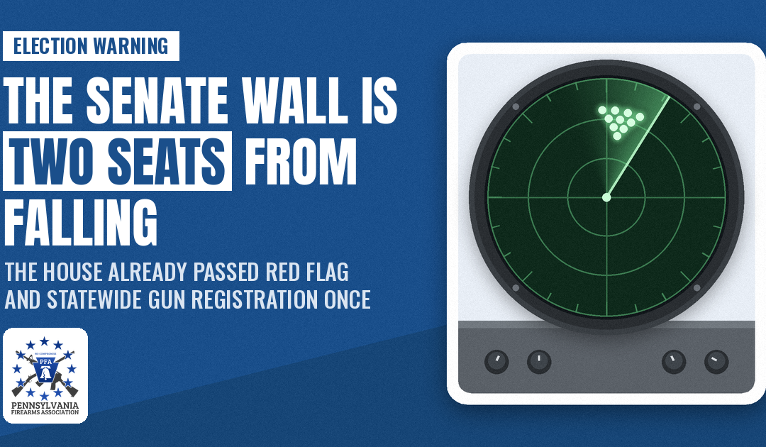 Pennsylvania’s Gun Rights Wall Is Two Senate Seats From Falling