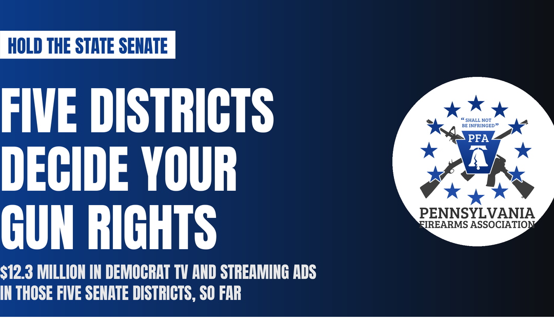 Hold the Senate: Five Districts Decide Your Gun Rights